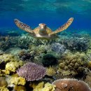 북부카랜드 이미지