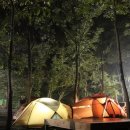 성주산자연휴양림 이미지