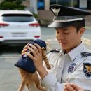 부산강서경찰서 이미지