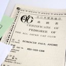 폴캐터리 이미지