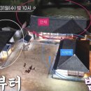 매화가든민박