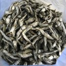 중부건어물 | 서울 중부시장 건어물 멸치가격 정보 및 내돈내산 구입후기