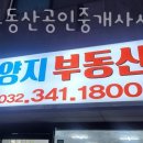 양지부동산공인중개사사무소 이미지