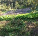 주도리 농장 이미지