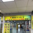 갯마을 | [서울 외발산동] 강서 수산시장 횟집/ 신갯마을 방문후기