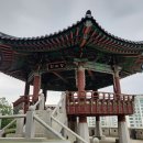 낙생대공원 Daum카페