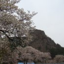 아산초등학교 이미지