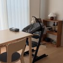 살구(Salgu) | | 셀프 아기방 꾸미기 | _ Welcome to salgu's room!🐴🪵🥥🛖🤎