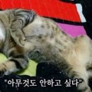 낙동강민물횟집 이미지