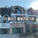 가평죠이아독채스파온수풀빌라 | 가평 독채 풀빌라 수영장 더 웰니스 풀빌라&amp;스파 후기