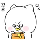부추장충동왕족발