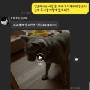 묘한호텔 이미지