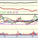 와이지리테일 이미지