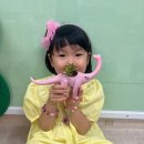 피노키오 놀이터 이미지