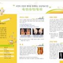 중앙장식 이미지