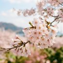 동삼1동행정복지센터 이미지