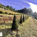 서울목장 이미지