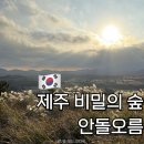 제주오름동물병원 | 제주 비밀의 숲 안돌오름 주차장 입구 소요시간 후기