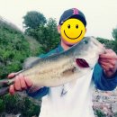 야! 놀자 PC 이미지