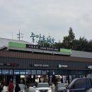 충북 죽암휴게소(서울방향)｜멍멍파크에서 반려견과 쉬어가는 충청도여행 힐링 코스