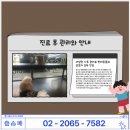 올스타동물의료센터 이미지