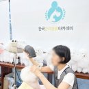 의정부애견미용학원 고민 중? 다녀본 사람의 솔직 후기
