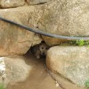 금암농장 이미지