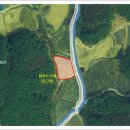 상운 염소 농장 이미지