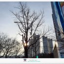 그랜드연회식당 이미지