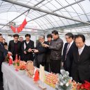 경상북도 딸기 신품종 품평회 이미지