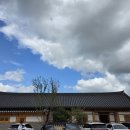 테라 | 경주 대형 한옥카페 테라로사 방문 후기