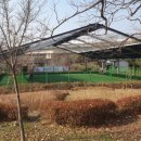 오전동 게이트볼장 이미지