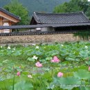 송광사(제15호)
