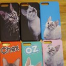 착한 고양이 이미지