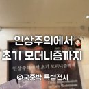 태양여관 | 특별전시 인상주의에서 초기 모더니즘까지 솔직한 후기 용산가족공원 단풍놀이까지 즐긴 하루 기록...