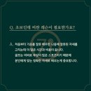 다고치네 네이버블로그