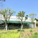 플랜트827