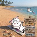 삼성목장 | 제주 살이 8일차 | 제주 🥭리치망고, 🛵구엄리돌염전, 제주 삼성 서비스, 아침미소 목장, 🏖️곽지해변, 부가네