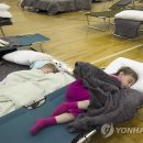 (주)블루리퍼블릭 이미지