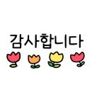 일산 슈퍼멍멍 네이버블로그