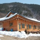 회두민박 이미지