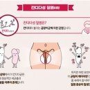 바이엘코리아㈜ 이미지