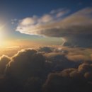 엔소프트치킨 이미지