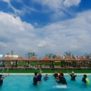 어반스토리 관광농원 이미지