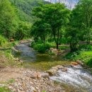 늘보마을 이미지