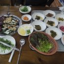 고창선운사 정금자할매풍천장어 이미지