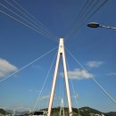 여수 돌산 복자 애견동반 스파 네이버블로그