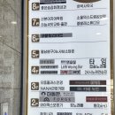 [경기도 군포 / 산본역 맛집] 산본 파스타 맛집 오퍼스(OPUS) 솔직 후기｜메뉴판·주차 정보