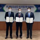 평화드림
