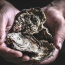 월평 사이클장 이미지